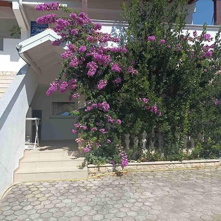 Apartments Vir Delfin מראה חיצוני תמונה