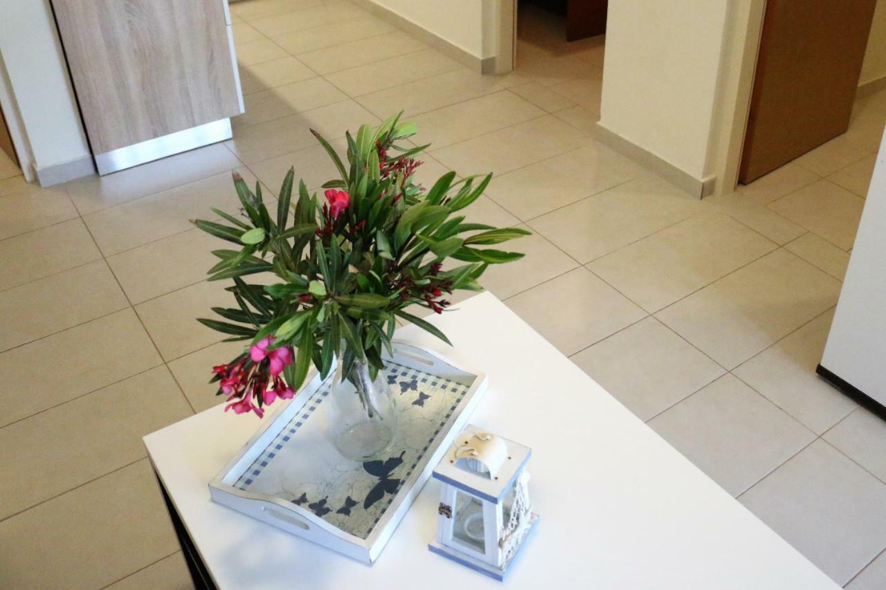Apartments Vir Delfin מראה חיצוני תמונה