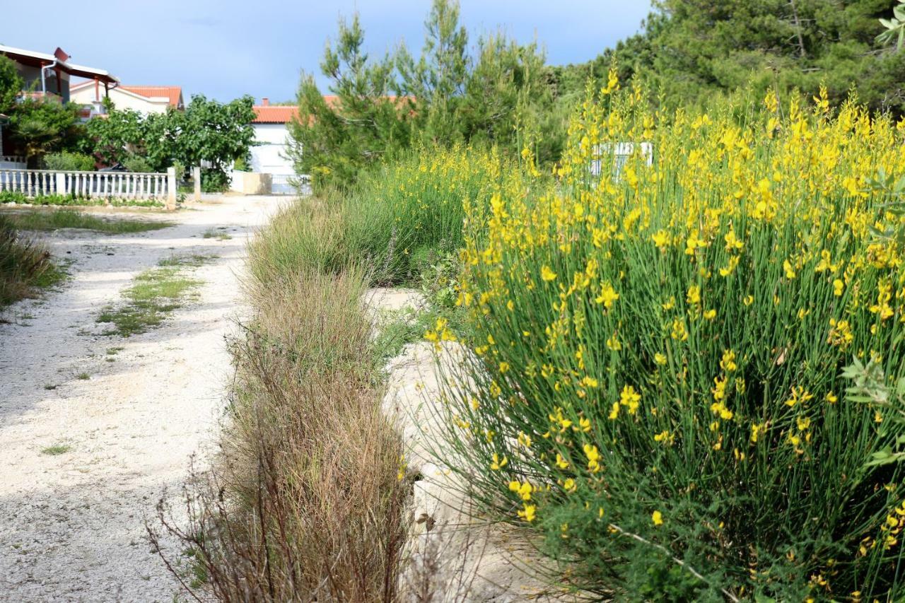 Apartments Vir Delfin מראה חיצוני תמונה